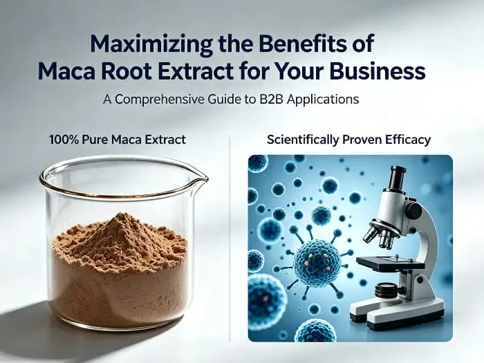 How Maca Root Extract Enhances Energy and Stamina Naturally?